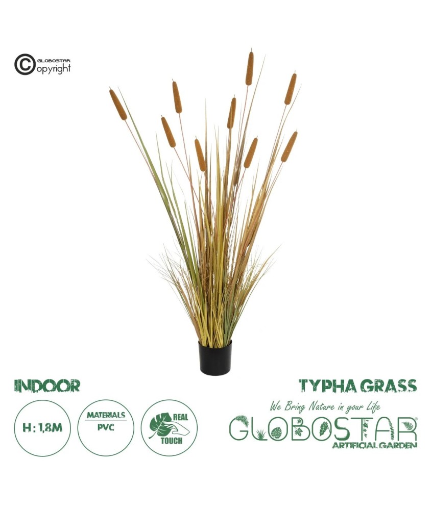 GloboStar® Artificial Garden TYPHA GRASS 21484 Τεχνητό Διακοσμητικό Φυτό Γρασίδι της Τύφας Μ100 x Π35 x Υ180cm